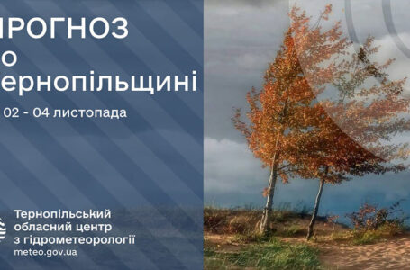 Невеликі дощі: прогноз погоди у Тернополі на 2 листопада