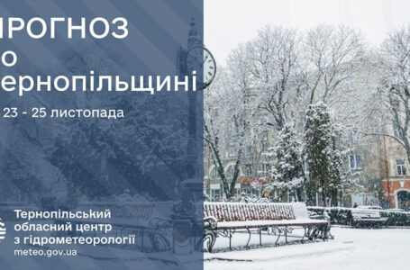 Сніг та ожеледиця: прогноз погоди у Тернополі на 23 листопада