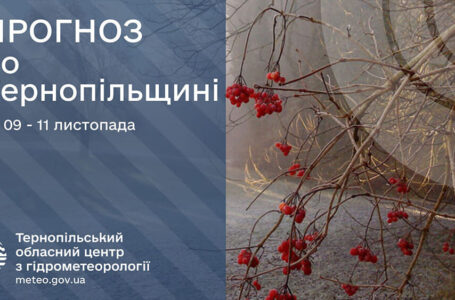 Без опадів: прогноз погоди у Тернополі на 9 листопада