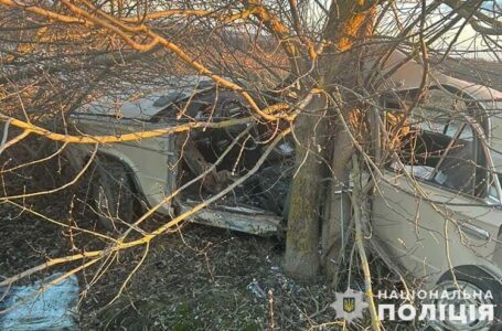 У Борщівській громаді водій “Жигулів”заїхав у дерево. Троє травмованих