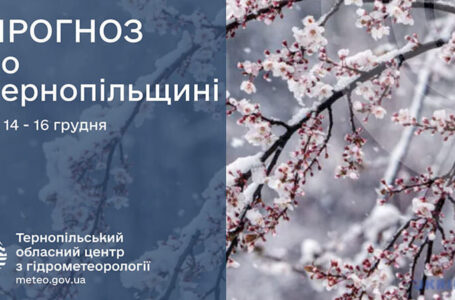 До 14° морозу: прогноз погоди у Тернополі на 14 грудня