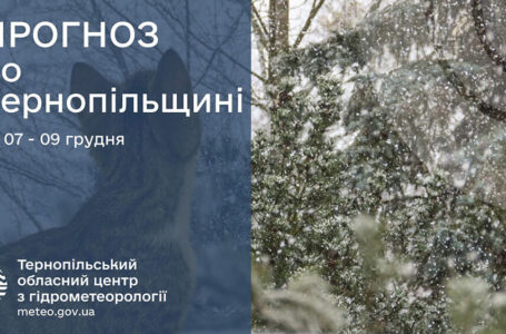 Невеликі дощі: прогноз погоди у Тернополі на 7 грудня