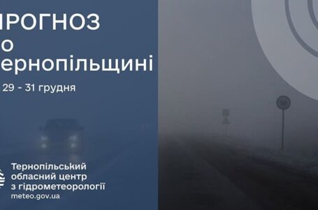 Без опадів: прогноз погоди у Тернополя на 29 грудня