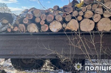 У Козлівській та Зборівській громадах спіймали чоловіків, які незаконно рубали дерева