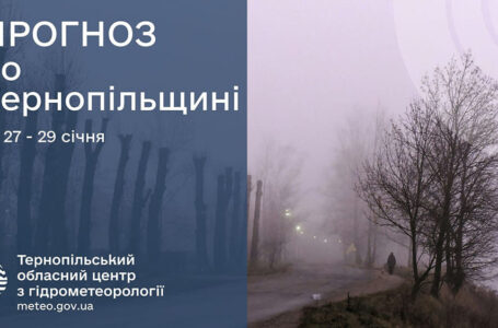 До 11° тепла: прогноз погоди у Тернополі на 27 січня