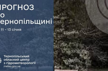 Мокрий сніг: прогноз погоди у Тернополі на 11 січня