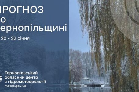 До 9º тепла: прогноз погоди у Тернополі на 20 січня