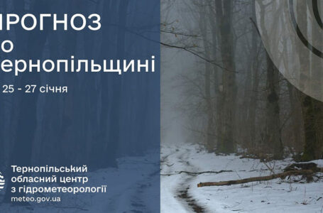 Туман та ожеледиця: прогноз погоди у Тернополі на 25 січня