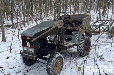 На Гусятинщині нелегальні лісоруби давали поліції 1000 доларів хабаря