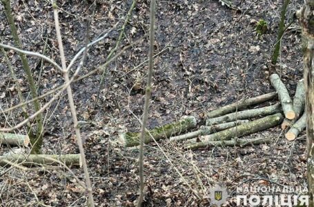 На Теребовлянщині водна поліція спіймала чоловіка, який незаконно рубав дерева