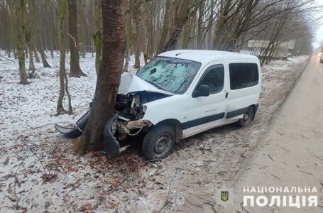 Поблизу Теребовлі п’яний водій заїхав у дерево (ФОТО)