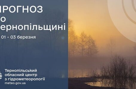 До 9° тепла: прогноз погоди у Тернополі на 1 березня