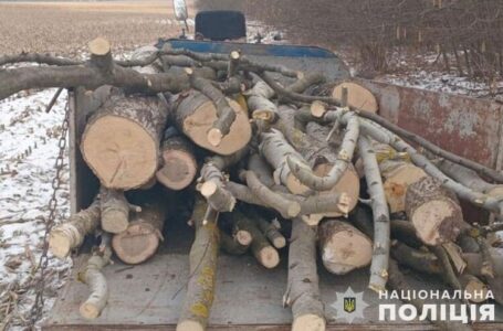 На Підгаєччині спіймали чоловіка, який у лісі незаконно зрізав кілька дерев