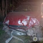 На трасі Козова – Зборів п’яний водій “Форда” заїхав у дерево. Як покарали порушника?