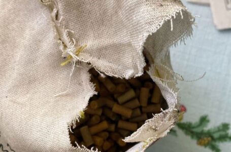 У жителя Заліщиків знайшли кілограм вибухівки