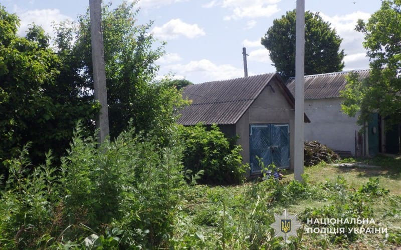 Від ураження струмом загинув 27-річний житель Борщівської громади