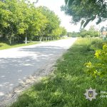 У Почаєві водій “Тойоти” збив 82-річну жінку і втік з місця ДТП