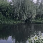 У Теребовлі у річці виявили тіло загиблого чоловіка
