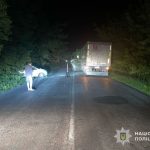 На трасі Шумськ – Кременець водій “Шевроле” зіткнувся з вантажівкою