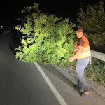 Наслідки негоди на Тернопільщині: повалені дерева та 66 знеструмлених населених пунктів