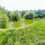 У Почаївській громаді ледь не втопився трирічний хлопчик. Дитина у важкому стані