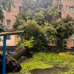 У Тернополі дерево впало на житловий будинок (ВІДЕО)