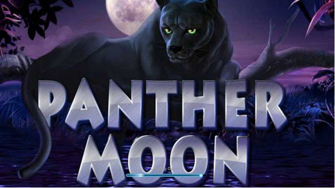 Panther Moon