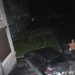 Користь від камер спостереження за програмою «Безпечний двір» у тернопільських дворах: виявили вандалку, яка пошкоджувала автомобілі