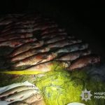Тернополянин сітками зловив 250 кілограмів риби. А потім браконьєра спіймала поліція