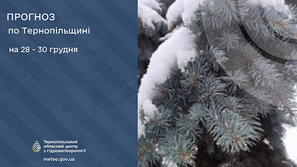 Мокрий сніг: прогноз погоди у Тернополі на 28 грудня