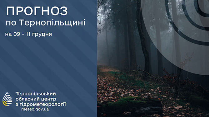 Невеликі дощі: прогноз погоди у Тернополі на 9 грудня