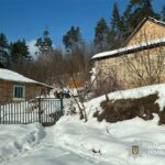 Жительку Шумщини госпіталізували із підозрою на сказ: вона розбороняла собак та лисицю