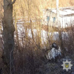 У Кременці на об’їзній дорозі перекинувся автомобіль. Водій втік