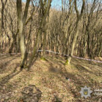 На Тернопільщині чоловік загинув через детонацію снаряда часів Другої світової війни