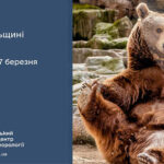 До 10° тепла: прогноз погоди у Тернополі на 5 березня