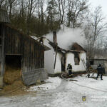 На Тернопільщині у лісництві виявили обгорілі рештки загиблої людини
