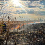 На Тернопільщині через спалювання сухої трави загинув чоловік