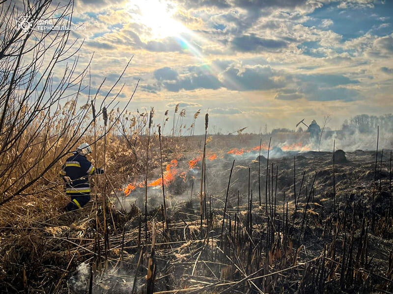 На Тернопільщині через спалювання сухої трави загинув чоловік