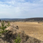 На Тернопільщині директора цегельного заводу підозрюють у незаконному видобутку корисних копалин