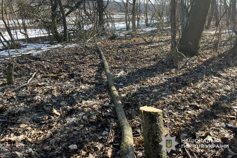У Скалатській громаді затримали чоловіка, який давав лісникові 8000 грн хабаря
