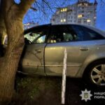 У Тернополі на “Канаді” водій “Ауді” заїхав у дерево