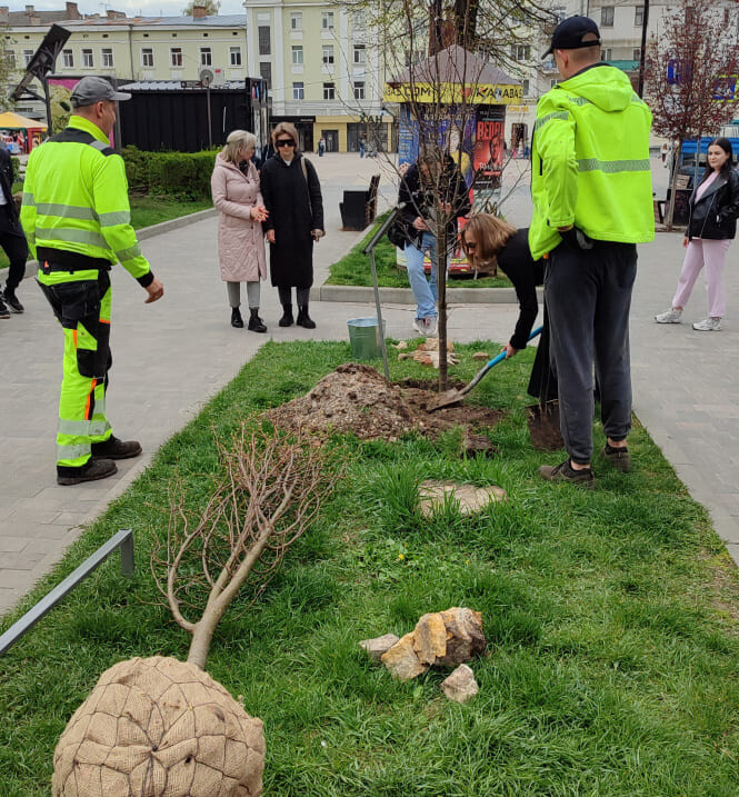 іменне дерево