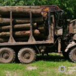 На Тернопільщині судитимуть лісників, які незаконно зрубали 600 дерев