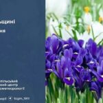 До 16° тепла: прогноз погоди у Тернополі на 4 квітня