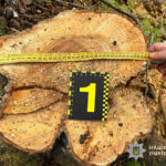 На Бережанщині спіймали чоловіка, який готувався до наступної зими