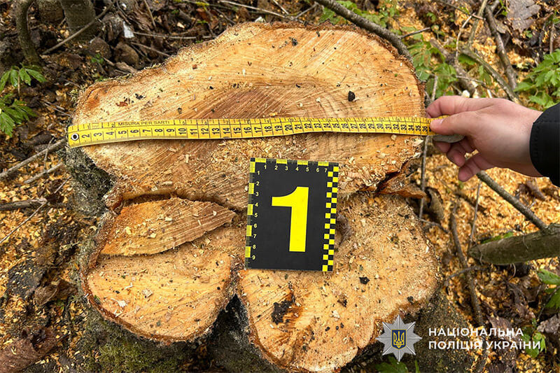 На Бережанщині спіймали чоловіка, який готувався до наступної зими