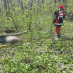 Поблизу Тернополя під час зрізання дерева загинув молодий чоловік