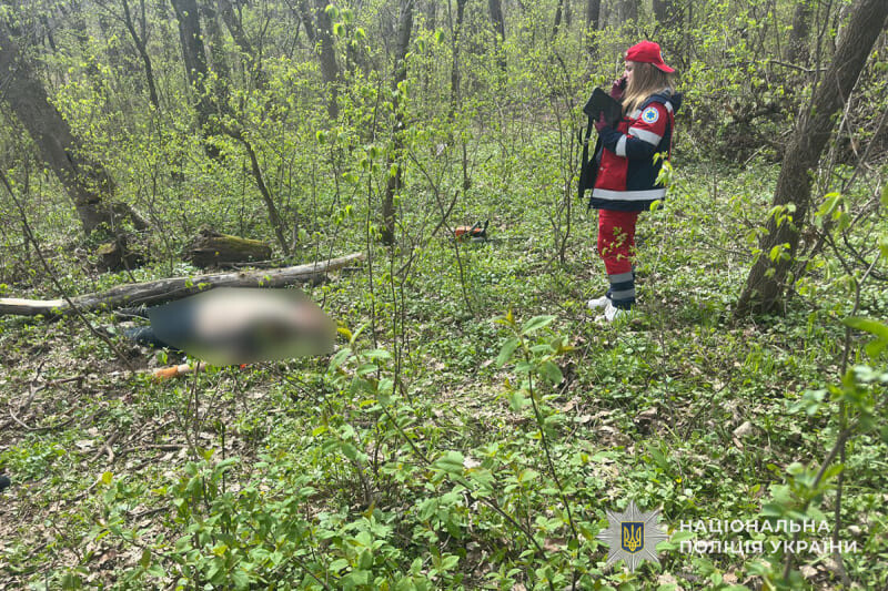 Поблизу Тернополя під час зрізання дерева загинув молодий чоловік