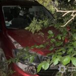 Внаслідок ДТП травмувалися двоє жителів Борщова