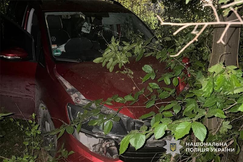 Внаслідок ДТП травмувалися двоє жителів Борщова